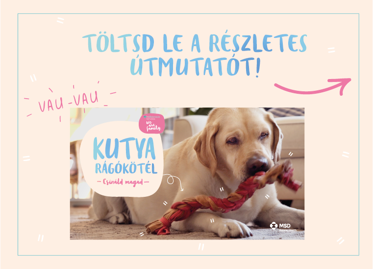 Készíts kötéljátékot a kutyádnak